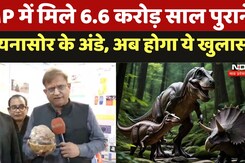 Jabalpur में Dinosaur का 6.6 करोड़ साल पुराना मिला Egg, अब खुलेगा राज! | Dinosaur Eggs Found |Viral