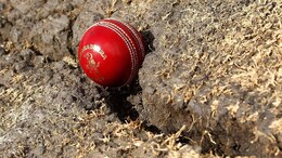 'Snake Cracks' On Perth Test Pitch? Chief Curator Makes Big Revelation