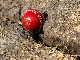 'Snake Cracks' On Perth Test Pitch? Chief Curator Makes Big Revelation