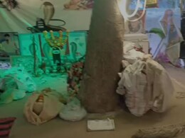 Rajasthan: पिपलाई के नाग देवता मंदिर में  दो युवकों की संदिग्ध मौत, सपेरा बस्ती के रहने वाले थे दोनों