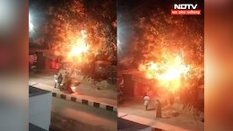 Satna News:  चित्रकूट में LPG  सिलेंडर में हुआ जोरदार ब्लास्ट, धमाके से दहल उठा प्रमोद वन