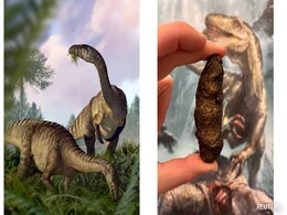 Faeces, Vomit Fossils Reveal How Dinosaurs Bested All Competition Faeces, Vomit Fossils Reveal How Dinosaurs Bested All Competition