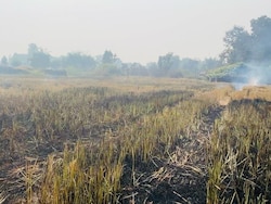 Delhi Hikes Crop Loss Compensation By Over 50%, 10,000 Farmers To Get Relief