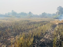 Madhya Pradesh Tops In Stubble-Burning, Tribal Farmers Have A Solution