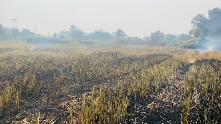 Delhi Hikes Crop Loss Compensation By Over 50%, 10,000 Farmers To Get Relief