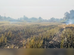 Haryana Sees 95% Drop In Active Fire Locations From Last Year