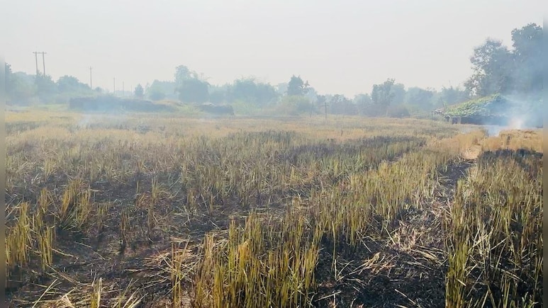Haryana Sees 95% Drop In Active Fire Locations From Last Year