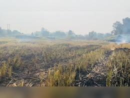 Haryana Sees 95% Drop In Active Fire Locations From Last Year Haryana Sees 95% Drop In Active Fire Locations From Last Year