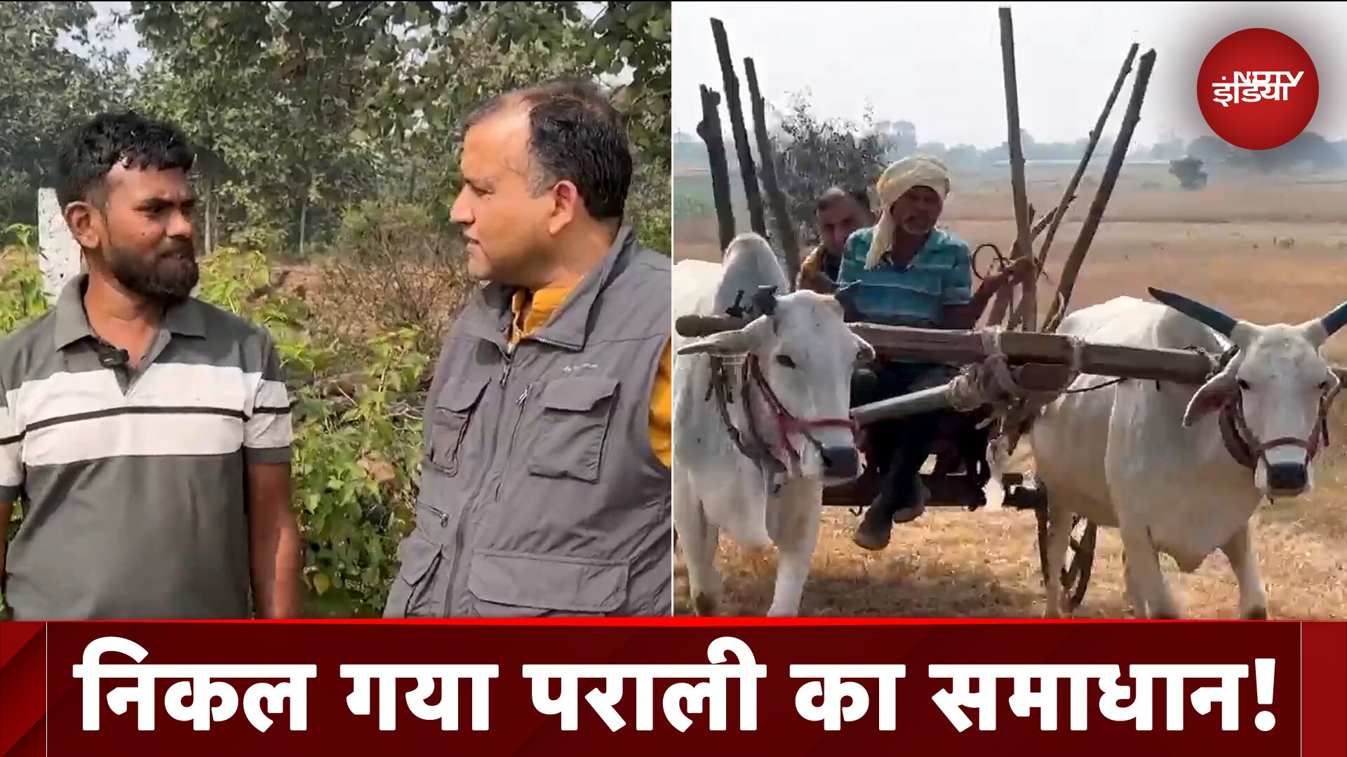 Stubble Burning में सबसे ऊपर क्यों Madhya Pradesh ? क्या मिल गया है पराली जलाने का समाधान ?