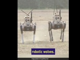 China's Robot Wolves Can Jump, Climb, Back-Flip Through Difficult Terrains China's Robot Wolves Can Jump, Climb, Back-Flip Through Difficult Terrains