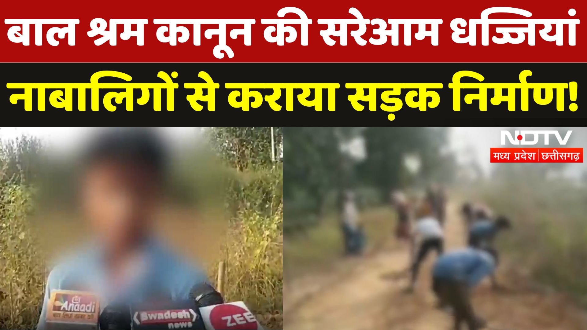 बलरामपुर में उड़ी बाल श्रम कानून की सरेआम धज्जियां , नाबालिगों से कराया सड़क निर्माण!