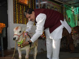 गोवर्धन पूजा के दिन क्यों की जाती है गायों की पूजा, इसलिए खास होता है अन्नकूट का भोग गोवर्धन पूजा के दिन क्यों की जाती है गायों की पूजा, इसलिए खास होता है अन्नकूट का भोग