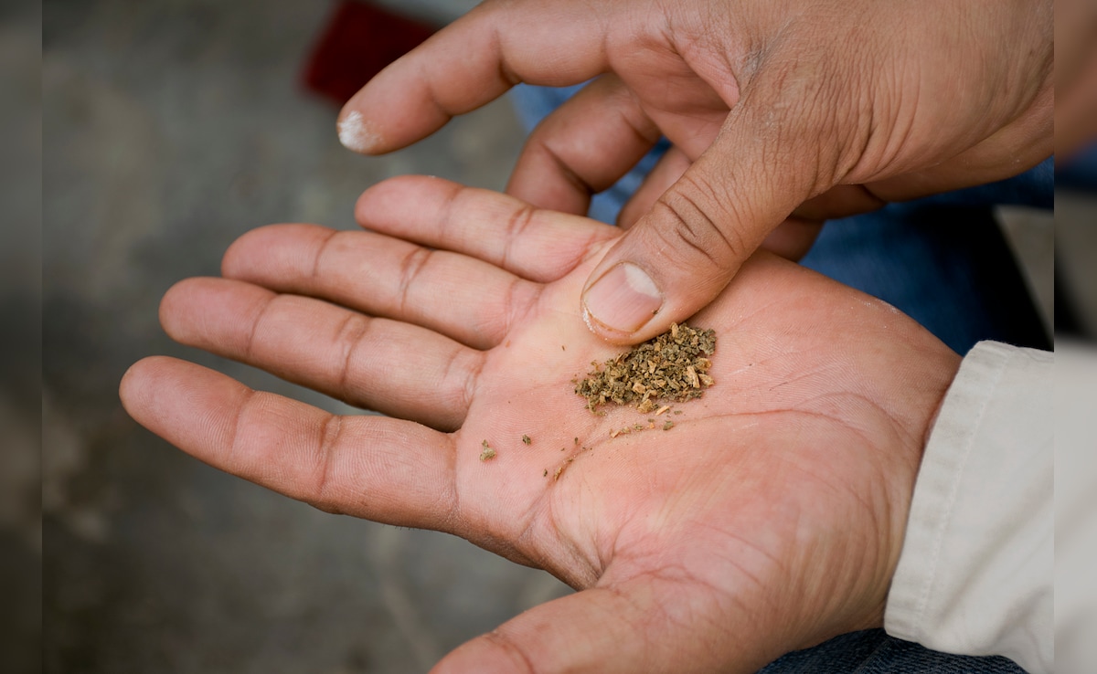 Bills In Lok Sabha Seek Levies On Tobacco, Pan Masala After GST Phaseout