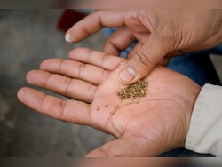 Bills In Lok Sabha Seek Levies On Tobacco, Pan Masala After GST Phaseout