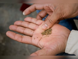 Bills In Lok Sabha Seek Levies On Tobacco, Pan Masala After GST Phaseout