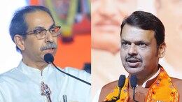 'Mumbai Civic Poll, Assembly Election': BJP Sets Itself Maharashtra Target