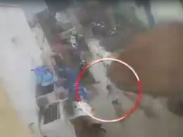 Boy, 2, Attacked By Dogs While Playing Outside Home In Hyderabad Boy, 2, Attacked By Dogs While Playing Outside Home In Hyderabad