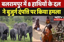 Elephant Attacks in Balrampur: हाथियों के दल ने बुजुर्ग दंपत्ति को कुचलकर मारा, हालत गंभीर Elephant Attacks in Balrampur: हाथियों के दल ने बुजुर्ग दंपत्ति को कुचलकर मारा, हालत गंभीर