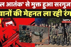 Naxal Free Surguja: 'लाल आतंक' से मुक्त हुआ सरगुजा,  जवानों की मेहनत ला रही रंग, देखिए रिपोर्ट