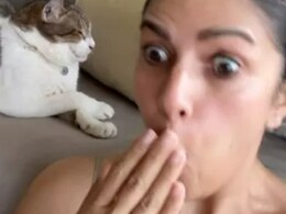 अभिषेक बच्चन से रिलेशनशिप की अफवाह के बीच निमरत कौर ने पोस्ट की ये रील, दिया सवालों का सीधा जवाब ? अभिषेक बच्चन से रिलेशनशिप की अफवाह के बीच निमरत कौर ने पोस्ट की ये रील, दिया सवालों का सीधा जवाब ?