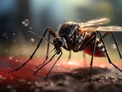 51 lakh Indians At Risk Of Chikungunya Every Year: Study