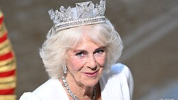 UK's Queen Camilla Once Fought Off Attacker On Train With Her Shoe: New Book