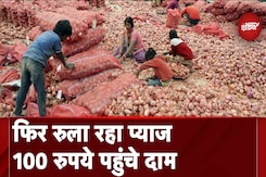 Onion Rates: प्याज दाम छूने लगे आसमान, 100 रुपये प्रति किलो पहुंचे भाव Onion Rates: प्याज दाम छूने लगे आसमान, 100 रुपये प्रति किलो पहुंचे भाव