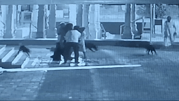 VIDEO: गणेश मंदिर के महंत पर साधु ने चाकू से गर्दन और सीने पर किया बेरहमी से हमला, पूरी वारदात CCTV में कैद