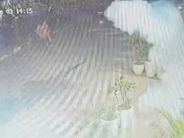 CCTV Shows Man Throwing Bomb Outside Rapper Badshah's Club In Chandigarh