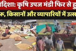 Good News For Farmers: कृषि उपज मंडी फिर से हुआ शुरू, किसानों और व्यापारियों में उत्साह Good News For Farmers: कृषि उपज मंडी फिर से हुआ शुरू, किसानों और व्यापारियों में उत्साह