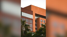 Rajasthan To Paint 20 Government College Gates 'Orange', Congress Reacts