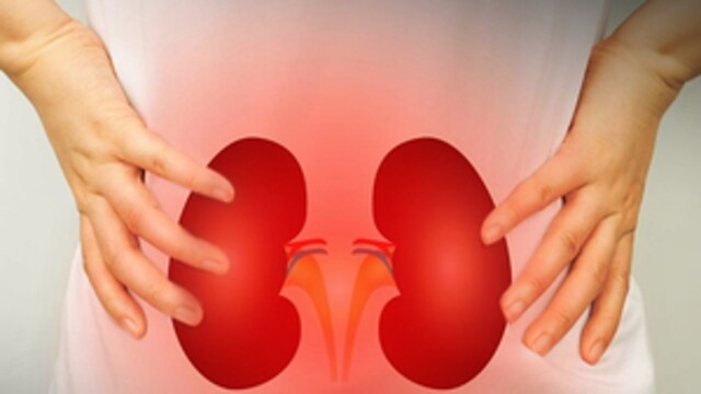 A study focusing on hospitalised children highlighted HMPV's possible connection to kidney health