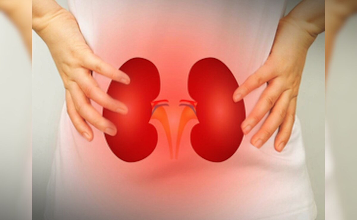 Iran To Tajikistan: Probe Agency Uncovers New Trail In Kerala Kidney Racket