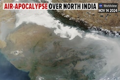 Exclusive: Wary Of NASA Satellites, How Farmers In Punjab Time Crop-Burning, Scientist Explains Exclusive: Wary Of NASA Satellites, How Farmers In Punjab Time Crop-Burning, Scientist Explains