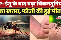 Chikungunya Case In MP: Dengue के बाद बढ़ा चिकनगुनिया का खतरा, Retired Soldier की हुई मौत Chikungunya Case In MP: Dengue के बाद बढ़ा चिकनगुनिया का खतरा, Retired Soldier की हुई मौत