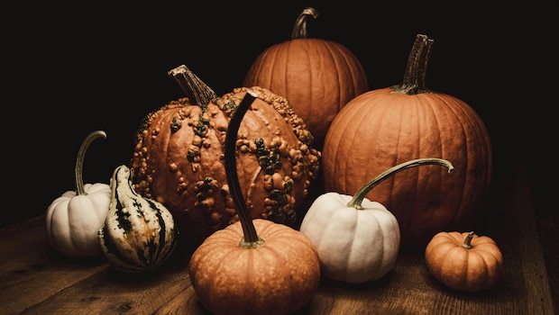 How To Decorate For Thanksgiving Dinner In 2024 How To Decorate For Thanksgiving Dinner In 2024