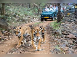 क्यों क्रिसमस और नए साल पर उत्तराखंड में हाई अलर्ट पर वन विभाग