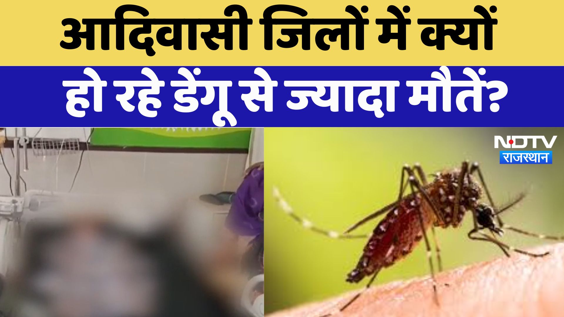 Dengue cases in Rajasthan : आदिवासी जिलों में क्यों हो रहे डेंगू से ज्यादा मौतें ?