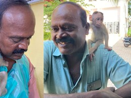 Veterinarian Can Meet Monkey He Nursed To Health: Madras High Court Veterinarian Can Meet Monkey He Nursed To Health: Madras High Court