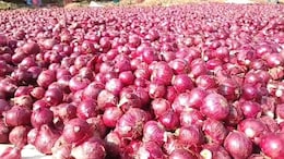 कांदा खरेदीतील भ्रष्टाचार रोखण्यासाठी सरकारचा मोठा निर्णय, 13 केंद्रांवर दक्षता समितीची स्थापना