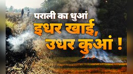 पराली जलाने में नं.1 MP के आदिवासी किसानों ने देश को दिखाई राह, बताए-ये हो सकते हैं विकल्प