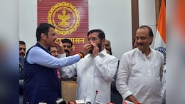 'EVM मध्ये घोटाळा, त्यामुळे महायुतीचा विजय' युतीतल्या माजी नेत्याचा खळबळजनक दावा