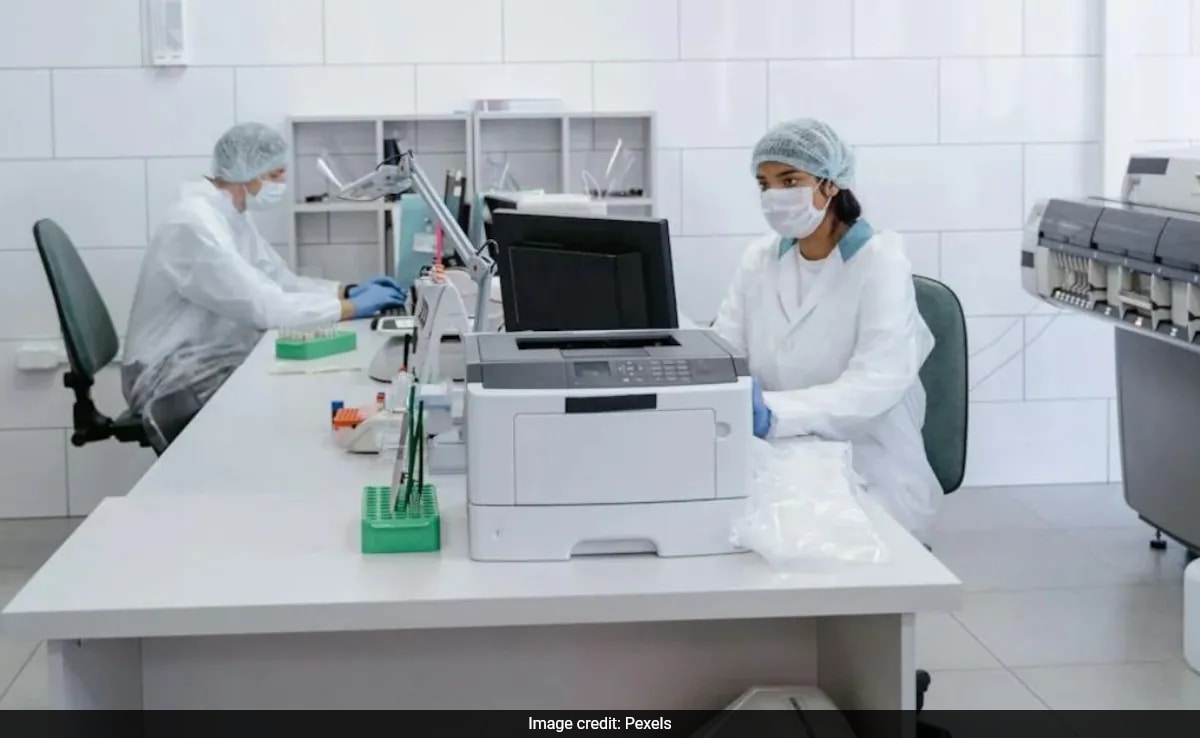 Ню Делхи Изследователи от университета в Нагаланд са разработили гъвкава