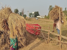CG Dhan Kharidi : त्योहारों के बाद खलिहान की ओर लौटे किसान, MSP पर धान खरीदी की हुई शुरुआत CG Dhan Kharidi : त्योहारों के बाद खलिहान की ओर लौटे किसान, MSP पर धान खरीदी की हुई शुरुआत
