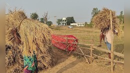 CG Dhan Kharidi 2024: धान खरीदी से पहले किसानों ने सुनाई अपनी समस्याएं, गर्मी के पैदावार को लेकर कह दी बड़ी बात