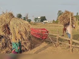 CG Dhan Kharidi 2024: धान खरीदी से पहले किसानों ने सुनाई अपनी समस्याएं, गर्मी के पैदावार को लेकर कह दी बड़ी बात