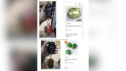 Customer Alleges Swiggy Instamart Delivered Underweight Vegetables, Reddit Reacts