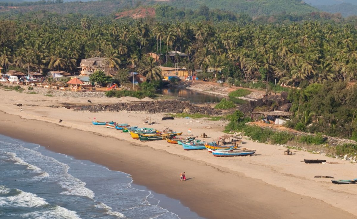 Latest and Breaking News on NDTV Latest and Breaking News on NDTV