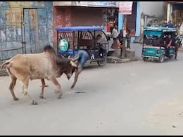 UP में आवारा सांड ने 15 लोगों को किया घायल, 3 घंटे की कड़ी मशक्कत के बाद पकड़ा गया UP में आवारा सांड ने 15 लोगों को किया घायल, 3 घंटे की कड़ी मशक्कत के बाद पकड़ा गया