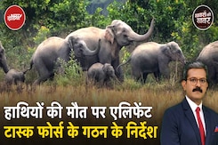 बांधवगढ़ टाइगर रिज़र्व में दस हाथियों की मौत की वजह आख़िर क्या है? CM Mohan Yadav का एक्शन! बांधवगढ़ टाइगर रिज़र्व में दस हाथियों की मौत की वजह आख़िर क्या है? CM Mohan Yadav का एक्शन!